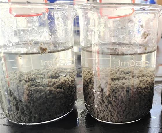 The use of polyacrylamide solution